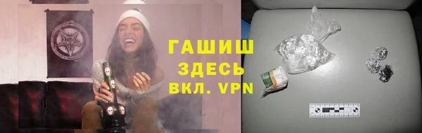 индика Вязьма