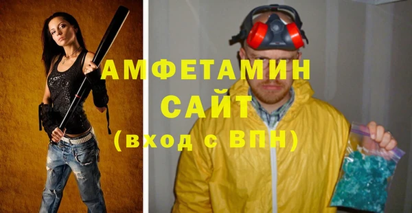 индика Вязьма